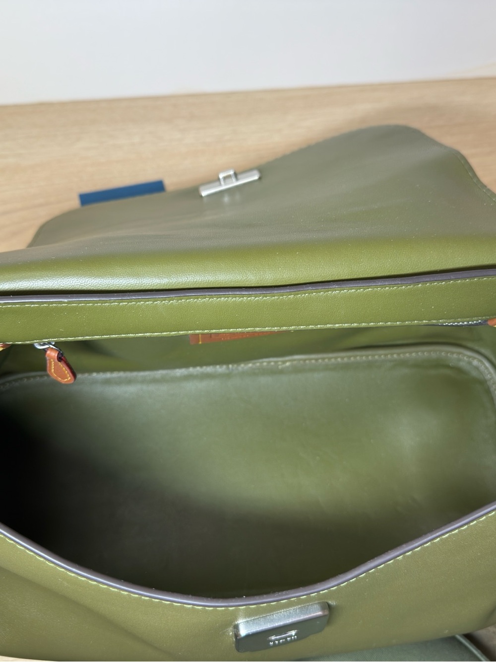 Coach Slouchy Rogue-Green - Picture 11 of 12